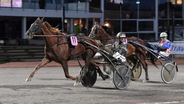 Foto: MALIN ALBINSSON / TR BILD