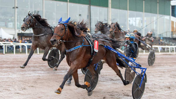 Foto: MIKAEL ROSENQUIST / TR BILD