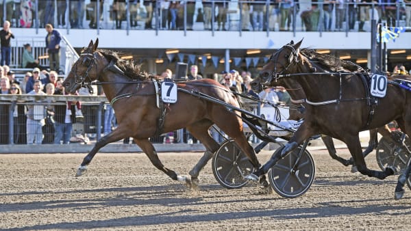 Foto: MALIN ALBINSSON / TR BILD