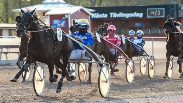 Foto: MIKAEL ROSENQUIST/TR BILD