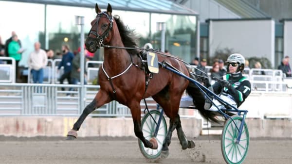 Foto: MARIA HOLMÉN/TRAVRONDEN