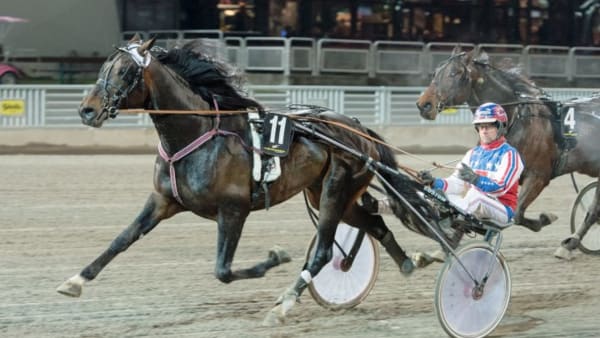 Foto: TOMMY ANDERSSON/ALN