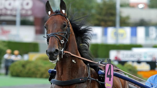 Foto: MATILDA ÖHRMAN / TR BILD