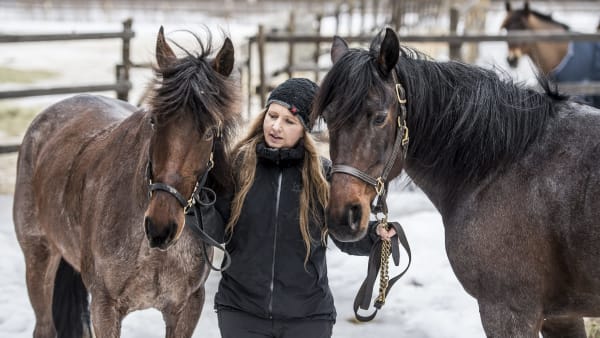 Foto: JENNY REHNMAN / TR BILD