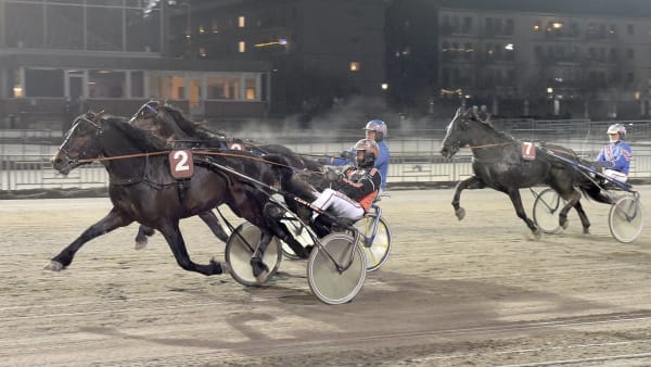 Foto: LARS JAKOBSSON / TR BILD