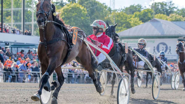 Foto: BURT SEEGER/KANAL 75