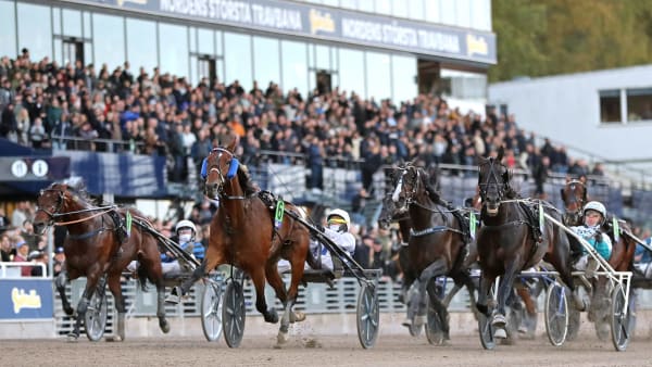 Foto: MARIA HOLMÉN / TR BILD