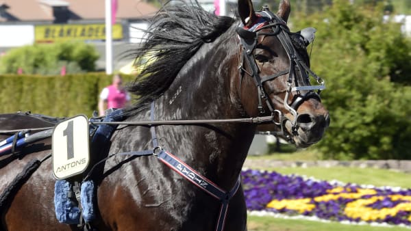 Foto: LARS JAKOBSSON / TR BILD