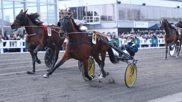 Foto: MALIN ALBINSSON / TR BILD