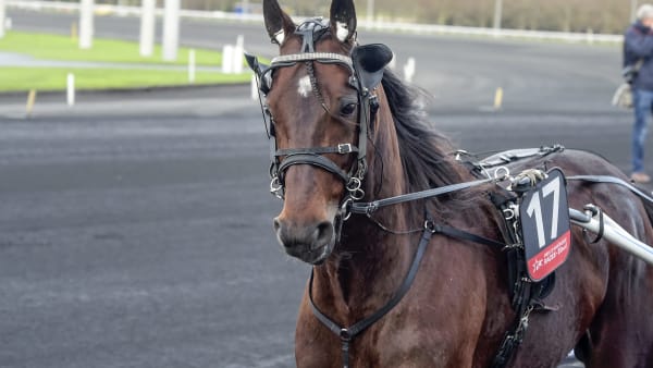 Foto: LARS JAKOBSSON / TR BILD