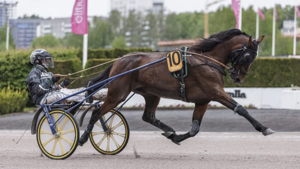 Foto: LENA EMMOTH / TR BILD