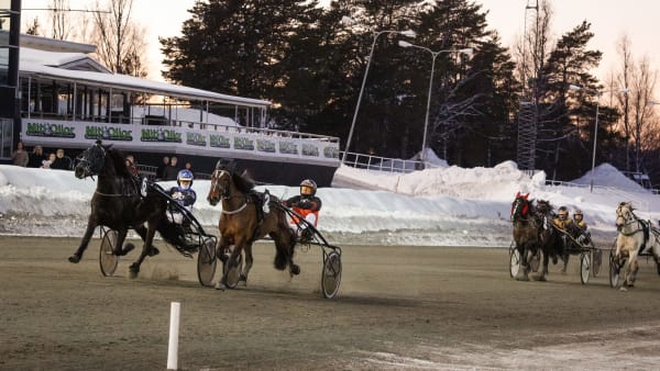 Foto: DAVID SCHREINER / TR BILD