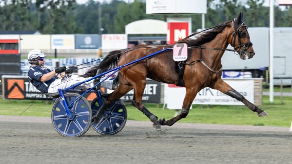 Foto: LENA EMMOTH / TR BILD