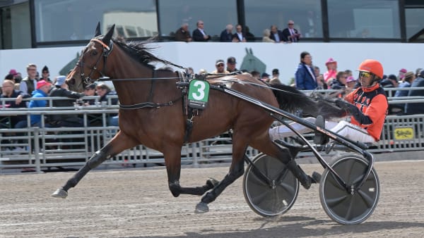 Foto: LARS JAKOBSSON / TR BILD