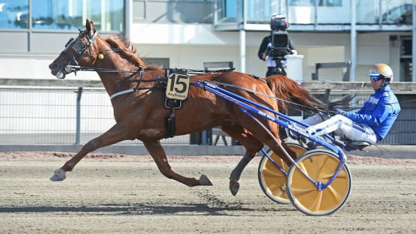 Foto: MALIN ALBINSSON / TR BILD