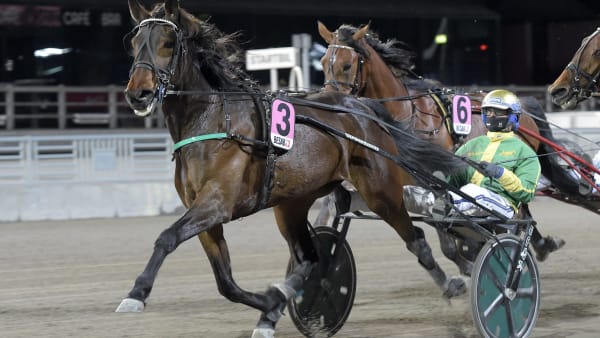 Foto: LARS JAKOBSSON / TR BILD