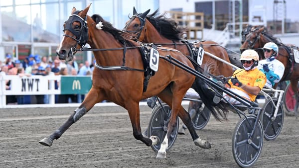 Foto: MALIN ALBINSSON / TR BILD