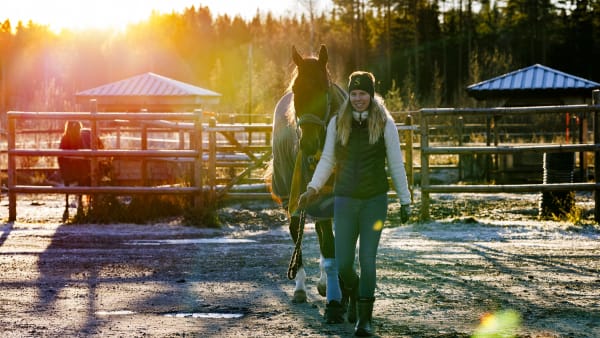 Foto: MATS ENGFORS/FOTOGRAPHIC