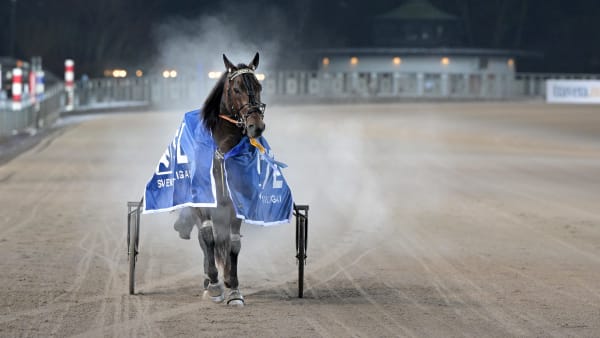 Foto: LARS JAKOBSSON / TR BILD