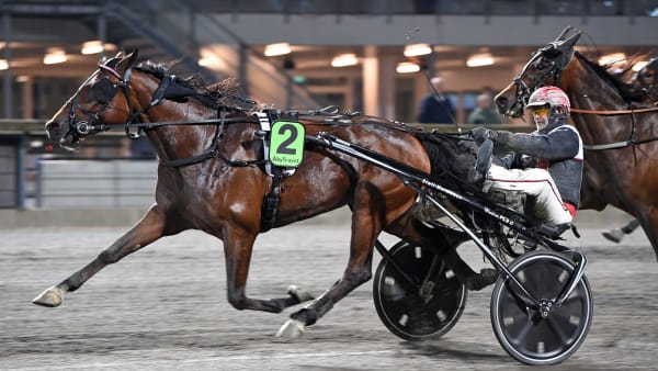 Foto: MALIN ALBINSSON / TR BILD