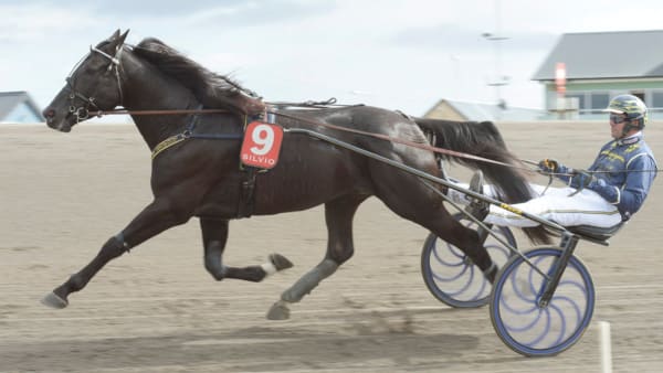 Foto: LEIF NORBERG/ALN