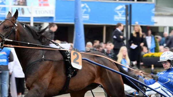 Foto: MALIN ALBINSSON/TR BILD