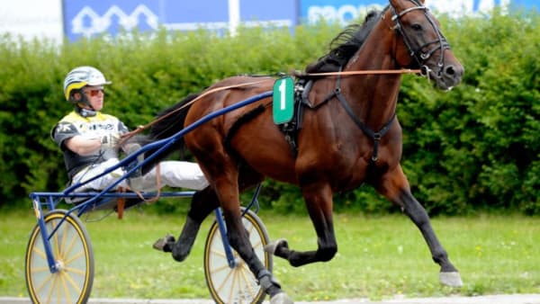 Foto: MARTIN LANGELS/ALN