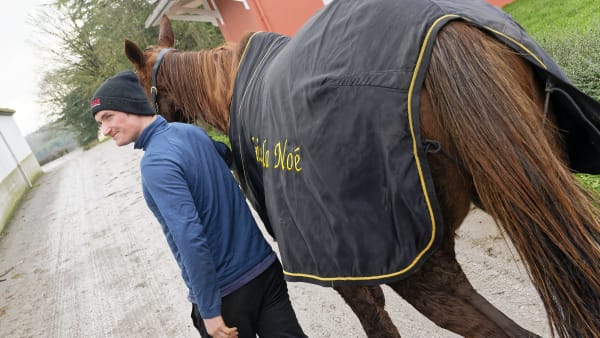 Foto: Jean-Luc Lamaère / TR BILD
