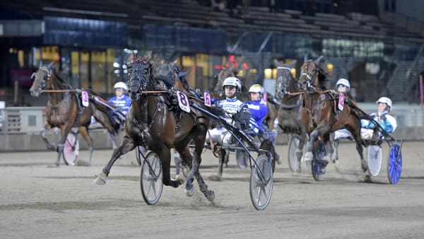 Foto: LARS JAKOBSSON / TR BILD