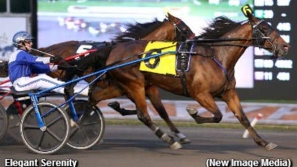 Foto: NEW IMAGE MEDIA.