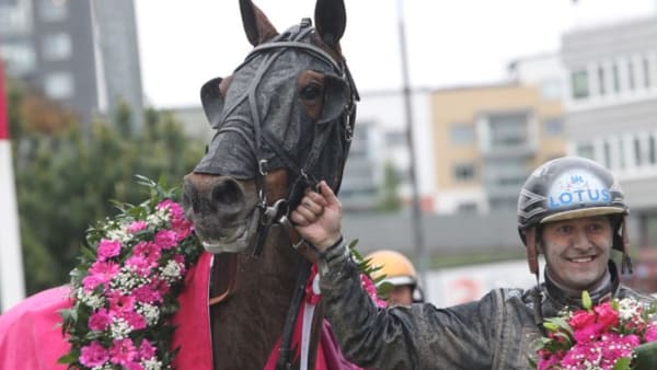 Foto: MIA TÖRNBERG/TRAVRONDEN