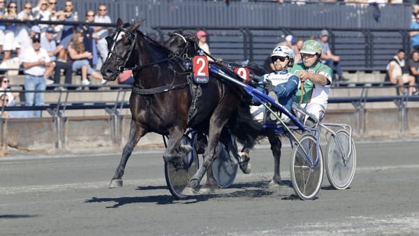 Foto: ROGER SVALSRÖD/HESTEGUIDEN