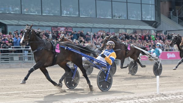 Foto: LARS JAKOBSSON / TR BILD