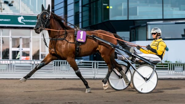 Foto: LENA EMMOTH / TR BILD