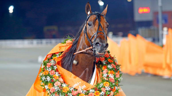 Foto: MATILDA ÖHRMAN/TRAVRONDEN