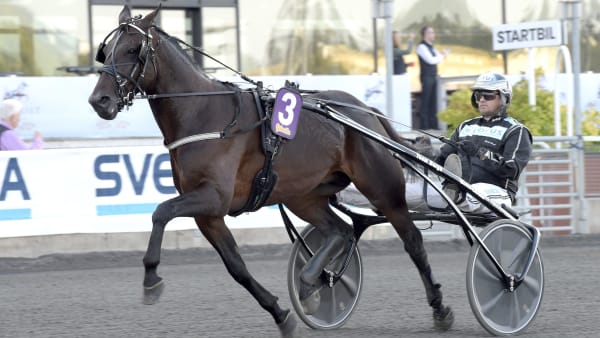 Foto: LARS JAKOBSSON / TR BILD