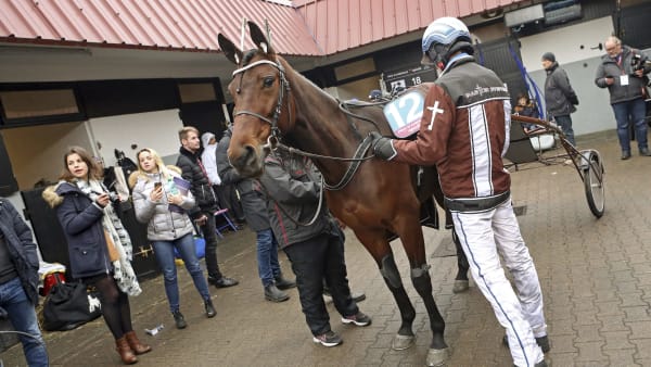 Foto: MARIA HOLMÉN / TR BILD