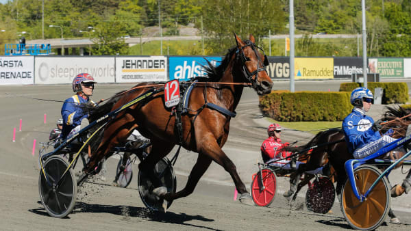 Foto: LENA EMMOTH/TR BILD