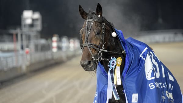 Foto: LARS JAKOBSSON / TR BILD