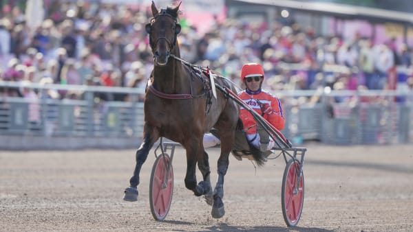 Foto: THOMAS BLOMQVIST / TR BILD