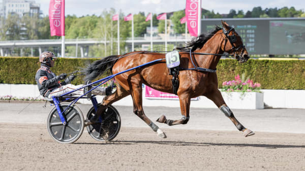 Foto: LENA EMMOTH / TR BILD