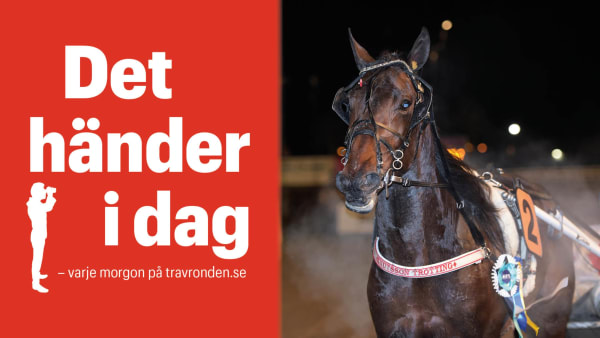 Foto: TR BILD