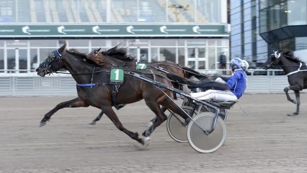 Foto: LARS JAKOBSSON / TR BILD