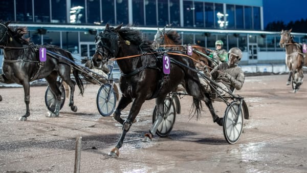 Foto: LENA EMMOTH / TR BILD