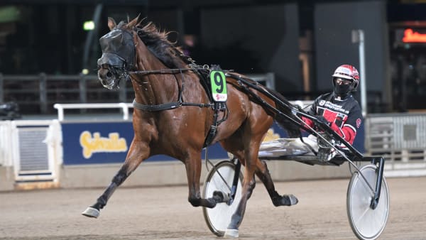 Foto: LARS JAKOBSSON / TR BILD