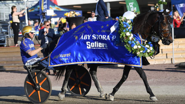 Foto: MALIN ALBINSSON / TR BILD