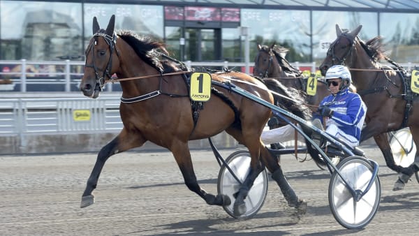 Foto: LARS JAKOBSSON / TR BILD