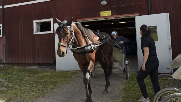 Foto: LARS JAKOBSSON / TR BILD