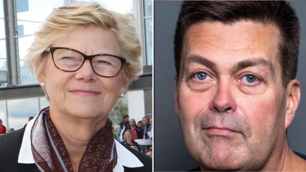 Foto: TR BILD/Pressbild Sverigedemokrate