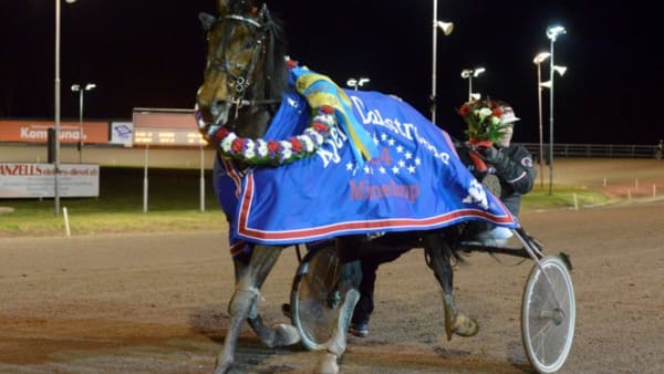 Foto: MAGNUS STRÖMSTEN/ALN